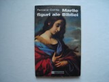 Marile figuri ale Bibliei - Fernand Comte