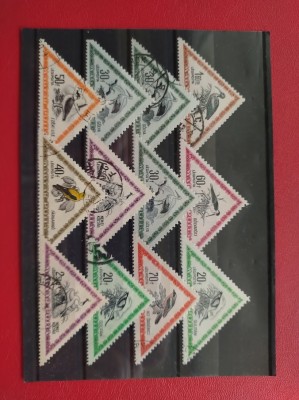 UNGARIA - PASARI foto