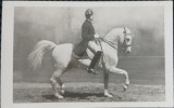 Carte Postala, Cursant la Școala Spaniolă de Echitație Viena, 1931