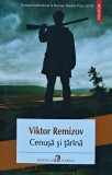 Cenusa si tarina - 2015 - Viktor Remizov (T10)