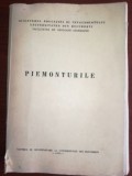 Piemonturile- Maria Patroescu