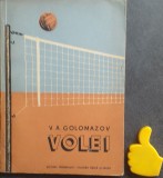 Volei V. A. Golomazov