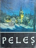 Cumpara ieftin Muzeul Peles - 1969 ($J154)