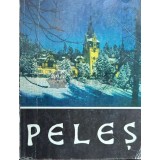 Muzeul Peles - 1969 ($J154)