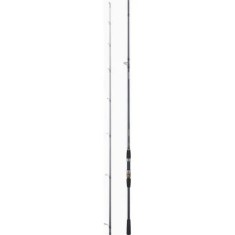 Lanseta Daiwa 2buc.procaster A 602lfse Bx 1,83m/3-10g foto