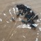 suruburi surub Acer Aspire 7750 7750G 7750Z 7750ZG 7560 7560g p7ye0