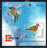 URUGUAY 1996, Fauna - Pasari, serie neuzată, MNH