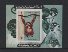 Ajman 1972 - Fauna, animale, maimuțe, colita nedantelata neuzata foto