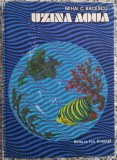 Uzina Aqua - Mihai C. Bacescu// ilustratii Dumitru Ionescu