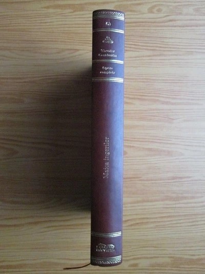 Theodor Constantin - Maica ingerilor