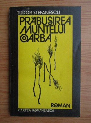 Tudor Stefanescu - Prabusirea muntelui Oarba foto