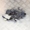 &Icirc;ncuietoare capota TESLA MODEL S 2014 OEM: 008066-84 | 11551587