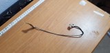 Cumpara ieftin Cablu Display Laptop Terra Mobile 1512 #1-937