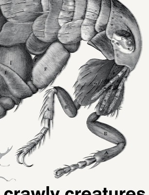 Crawly Creatures: Depiction and Appreciation of Insects and Other Critters in Art and Science foto