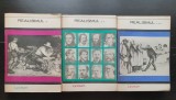 Realismul (3 vol.) - colecția LYCEUM