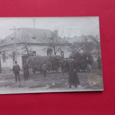 Maramures Viseu de Sus Felsoviso 1914 Uniforme Militari Military