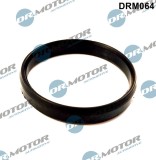 Etan?Are, Carcas&iuml;&iquest;&frac12; Clapet&iuml;&iquest;&frac12; 319309 DRM064