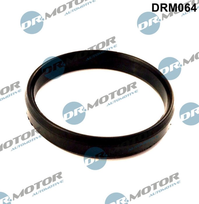 Etan?Are, Carcas&iuml;&iquest;&frac12; Clapet&iuml;&iquest;&frac12; 319309 DRM064
