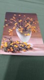 Cumpara ieftin CARTE POSTALA FELICITARE CIRCULATA