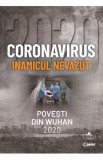 Coronavirus, inamicul nevazut. Povesti din Wuhan 2020