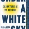 Under a White Sky: The Nature of the Future