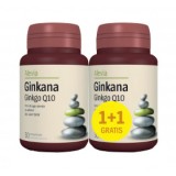 Pachet Ginkana Ginkgo Q10 Alevia 30cps 1+1 cadou