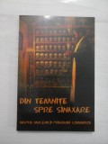 Cumpara ieftin DIN TEMNITE SPRE SINAXARE - COORDONATOR DANION VASILE