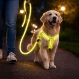 Set Ham cu Lesă pentru C&acirc;ine, Galben Neon, Talie Mare, Reflectorizant, CMCLASS