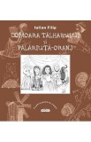 Comoara talharului si Palariuta-Oranj - Iulian Filip