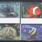 Dominica - Fauna Marina - PESTI - MNH