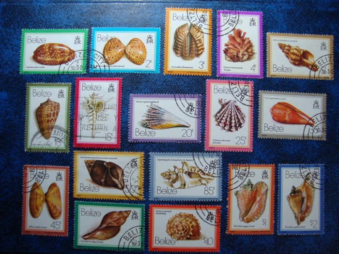 BELIZE 1980 SERIE COCHILII