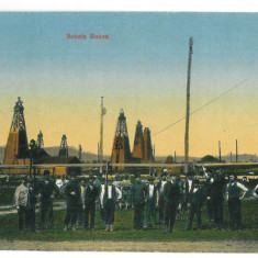 2920 - CAMPINA, Prahova, Oil Wells, Romania - old postcard - unused