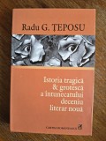 Istoria tragica &amp; groteasca a intunecatului deceniu literar noua - Radu G. Teposu, 2006 / R4P3F