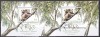 DB1 Fauna Urs Koala Australia 1995 2 SS unul cu supratipar MNH, Nestampilat
