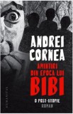 Amintiri din epoca lui Bibi. O post-utopie - Andrei Cornea