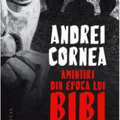 Amintiri din epoca lui Bibi. O post-utopie - Andrei Cornea