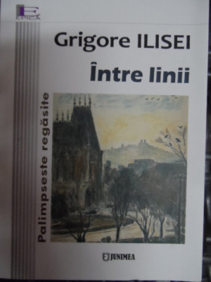 Intre Linii - Grigore Ilisei ,548203 foto