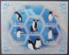 R.DU TCHAD -PINGUINI -2011, 1 M/SH, NEOBLIT.MNH** - EP 010