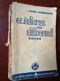Craciunul de la Silivestri- Ionel Teodoreanu