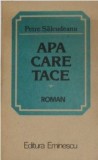 Apa care tace Petre Salcudeanu
