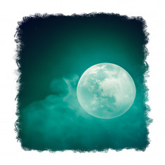 Sticker decorativ Luna, Verde, 55 cm, 11650ST