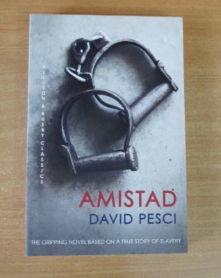 Amistad - David Pesci foto