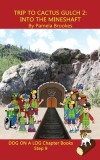 Trip to Cactus Gulch 2 (Into the Mineshaft) Chapter Book (Step 9) Sound Out Books (systematic decodable) Help Developing Readers, including Those with