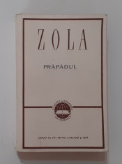 Emil Zola - Prapadul (Vezi Descrierea - Stare F. Buna) foto