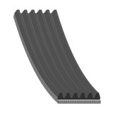 Febi Bilstein Curea transmisie cu caneluri