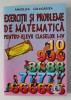 EXERCITII SI PROBLEME DE MATEMATICA PENTRU ELEVII CLASELOR I - IV de ANGELICA CALUGARITA , ANII &#039;2000 *MICI DEFECTE