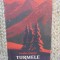 Turmele - Eusebiu Camilar