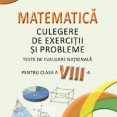 Matematica. Teste de evaluare nationala pentru clasa a VIII-a