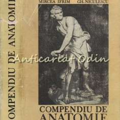 Compendiu De Anatomie - Mircea Ifrim, Gh. Niculescu