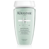 K&eacute;rastase Specifique Bain Divalent curatarea profunda a scalpului pentru un scalp seboreic 250 ml